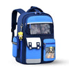 All in One Premium School Backpack